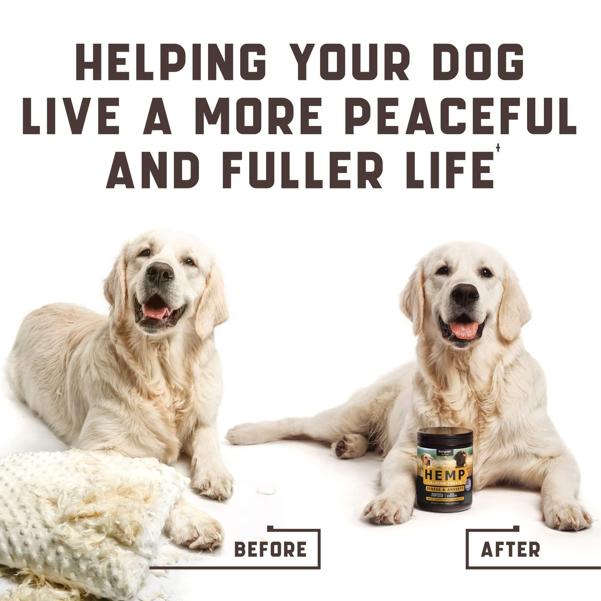 Two dogs, one labeled 'Before' and the other 'After', with a Hemp product container between them on a white background.