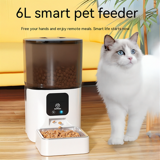 6L smart pet feeder with a cat next to it on a wooden floor.